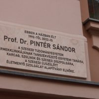 Prof. Dr. Pintér Sándor-00